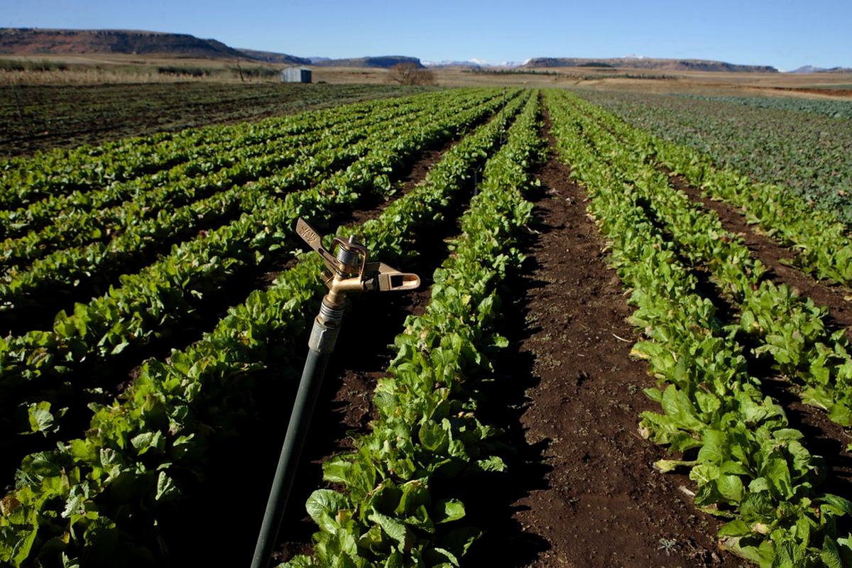 M200 million more for agric sector M200 million more for agric sector