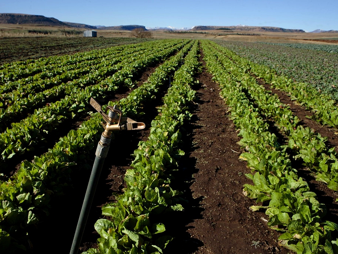 M200 million more for agric sector