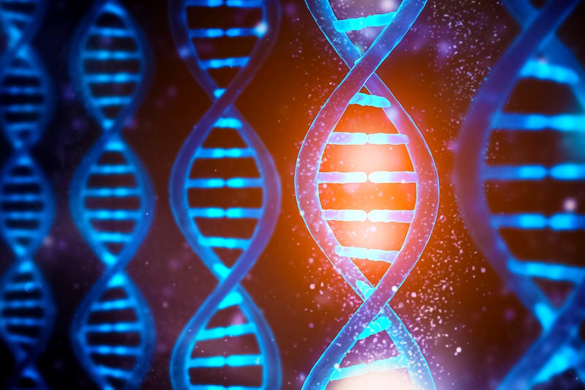 People with similar faces likely have similar DNA, study finds People with similar faces likely have similar DNA, study finds