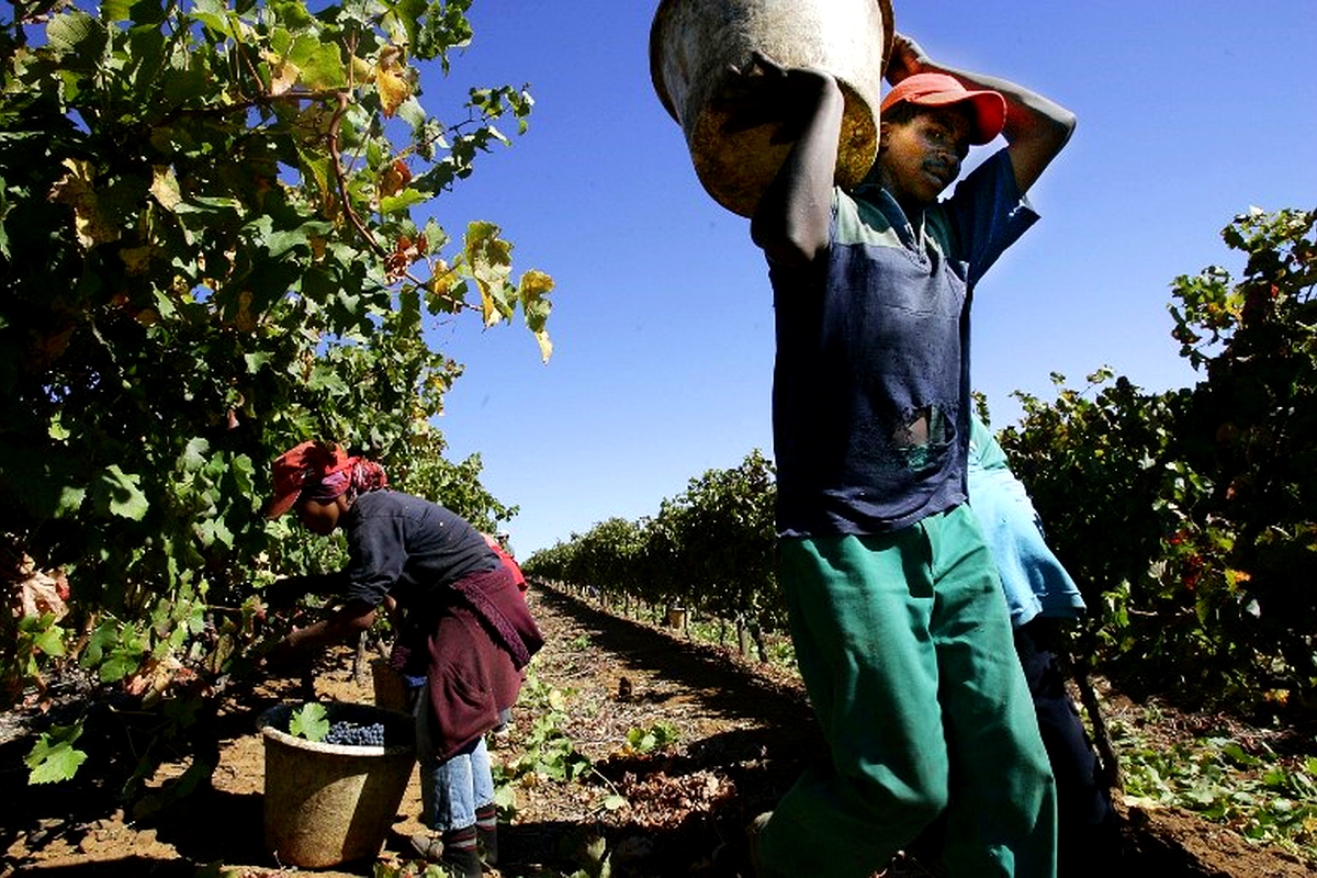 A breakthrough for Basotho in South Africa A breakthrough for Basotho in South Africa