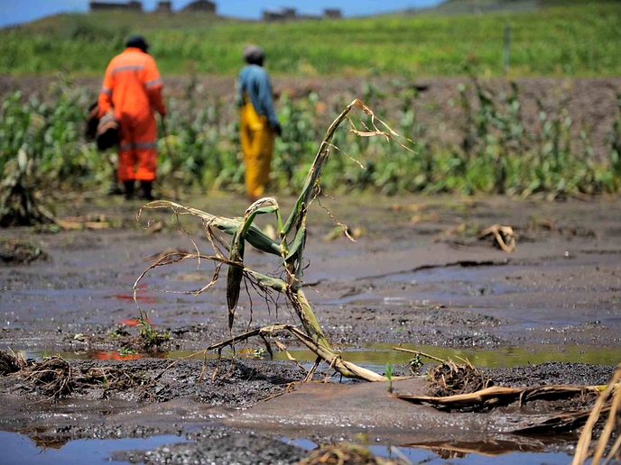 Over 300 000 Basotho face acute food insecurity