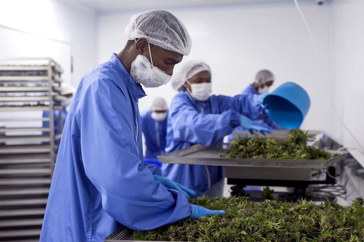 MG Health gets green-light to trade abroad MG Health gets green-light to trade abroad
