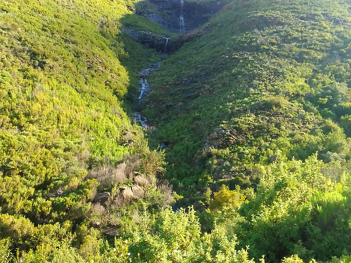 A rocky, rugged-looking Mount Machache