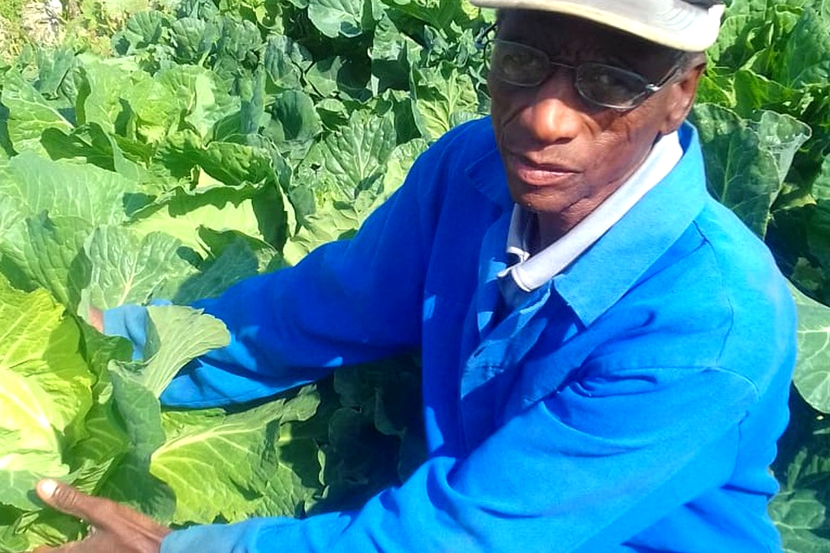 Innovative structure saves food, creates income Innovative structure saves food, creates income