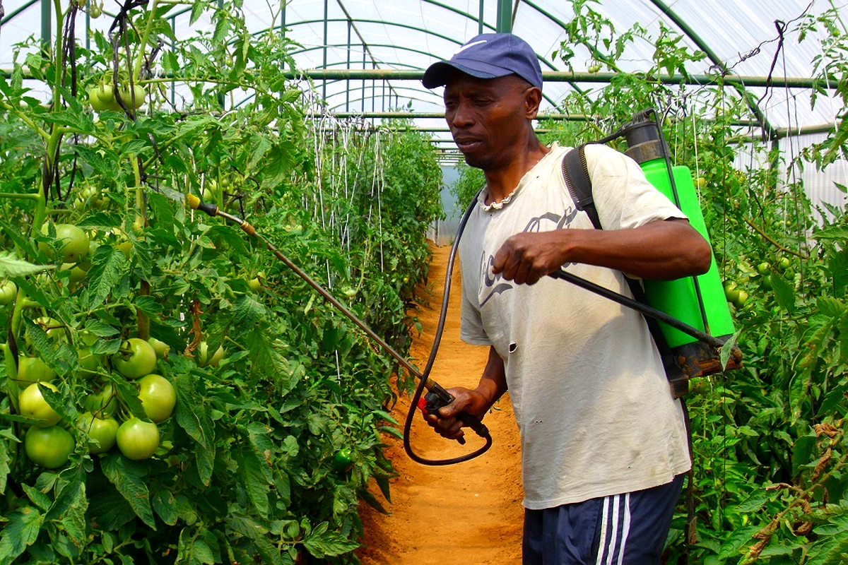 Lesotho to sign M4.5 billion US grant Lesotho to sign M4.5 billion US grant
