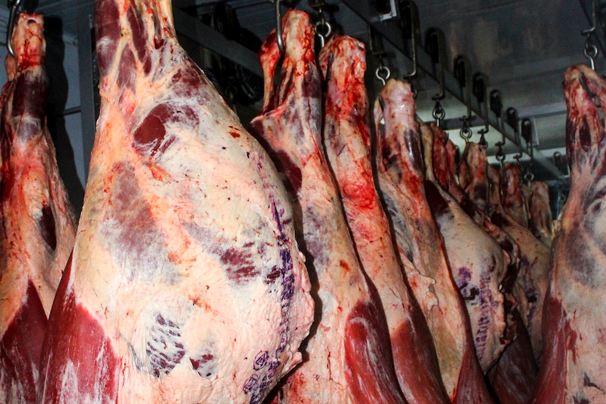 Meat processing plant unveiled Meat processing plant unveiled