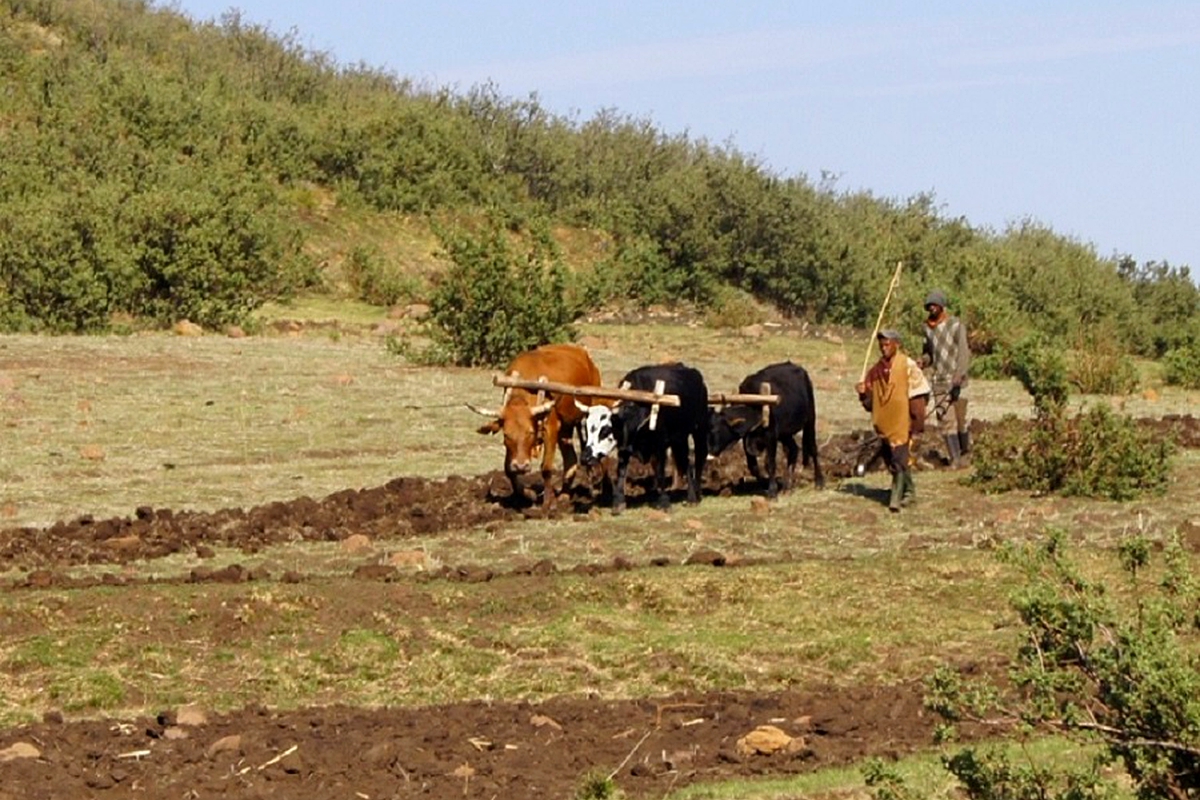 Lesotho needs to dig deeper to get its people out of abject poverty and hunger