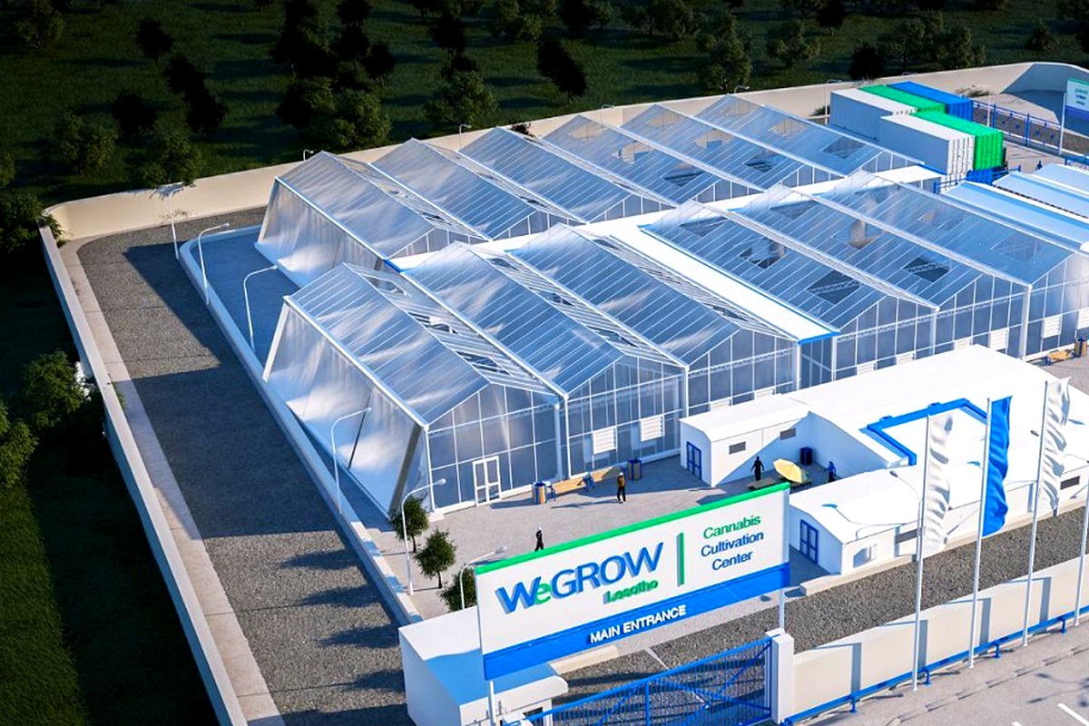 WeGROW launches premium medical cannabis export activity from Lesotho WeGROW launches premium medical cannabis export activity from Lesotho