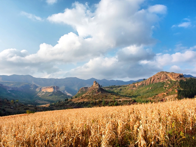 Lesotho should produce own food – Matekane