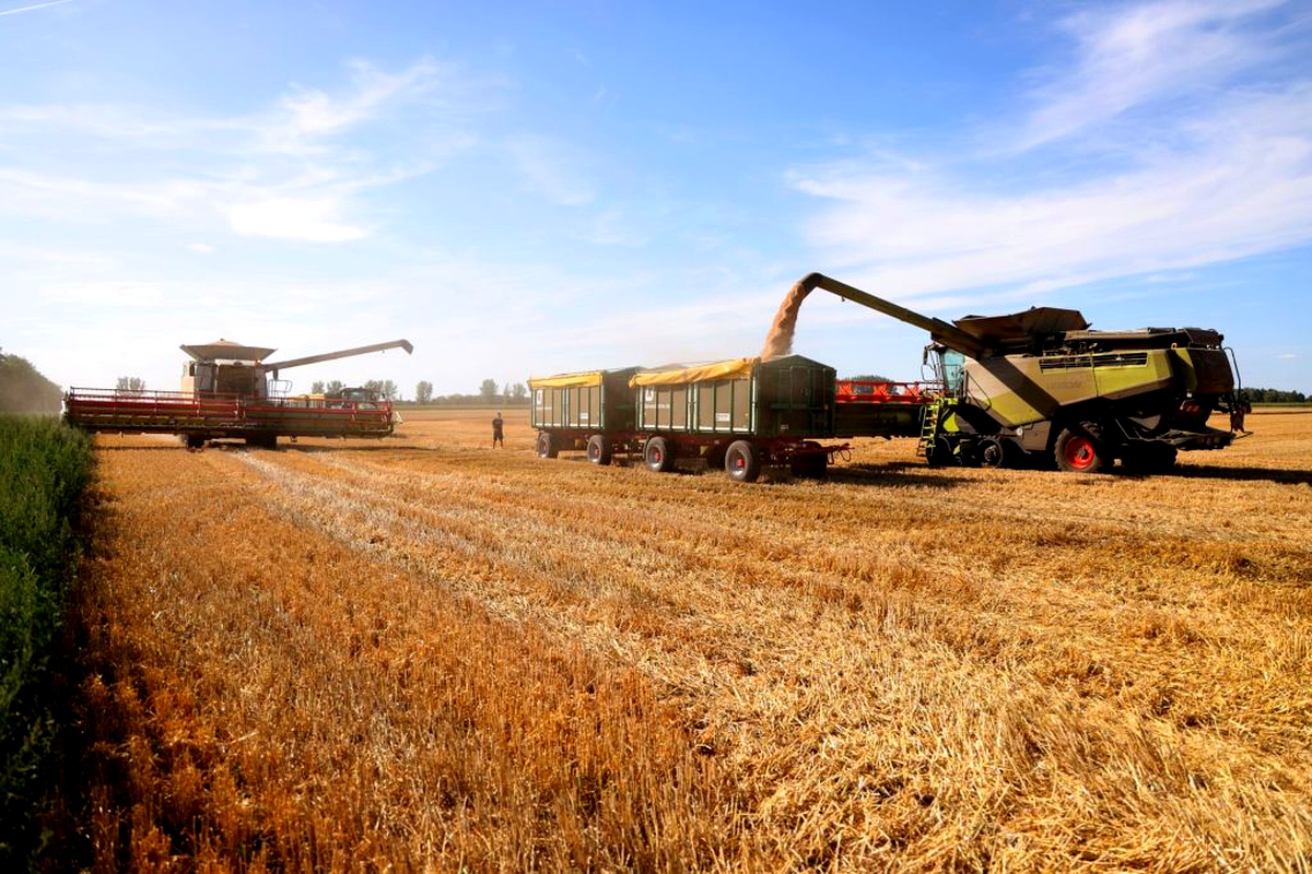 World food prices extend drop as supply uptick offers relief World food prices extend drop as supply uptick offers relief