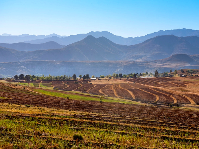 Late rain forecast means more trouble for agriculture