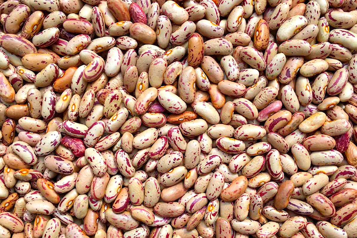 Farmers struggle to market their beans