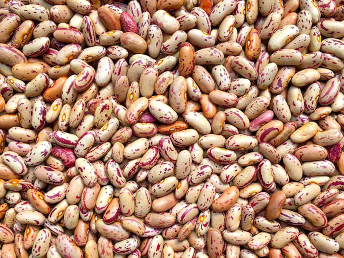 Farmers struggle to market their beans