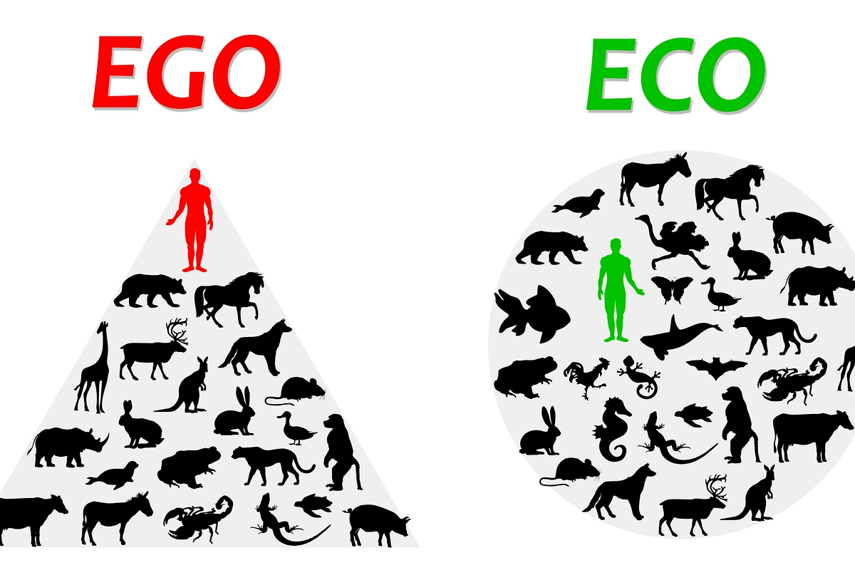 Moving From An Egosystem To An Ecosystem And Creating Lesotho Inc (Part 2) Moving From An Egosystem To An Ecosystem And Creating Lesotho Inc (Part 2)