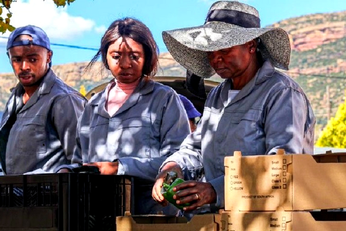 Transforming Lesotho’s farmers into entrepreneurs Transforming Lesotho’s farmers into entrepreneurs