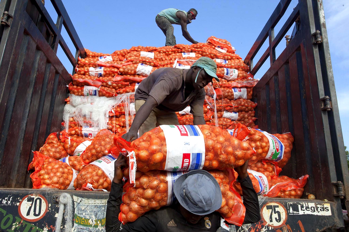 COVID-19 crisis amplifies the urgency for economic diversification in Africa COVID-19 crisis amplifies the urgency for economic diversification in Africa