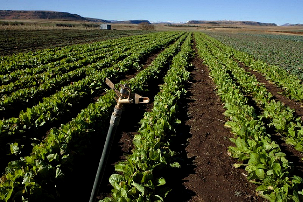 Crop production increases Crop production increases