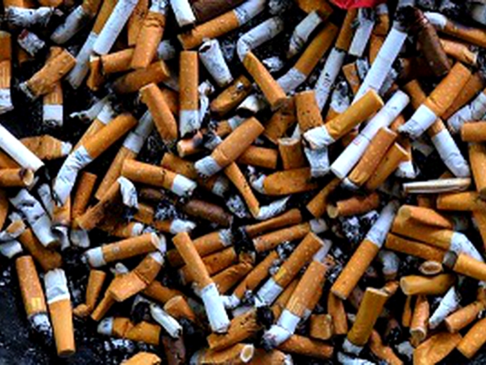 WHO reports decline on tobacco use