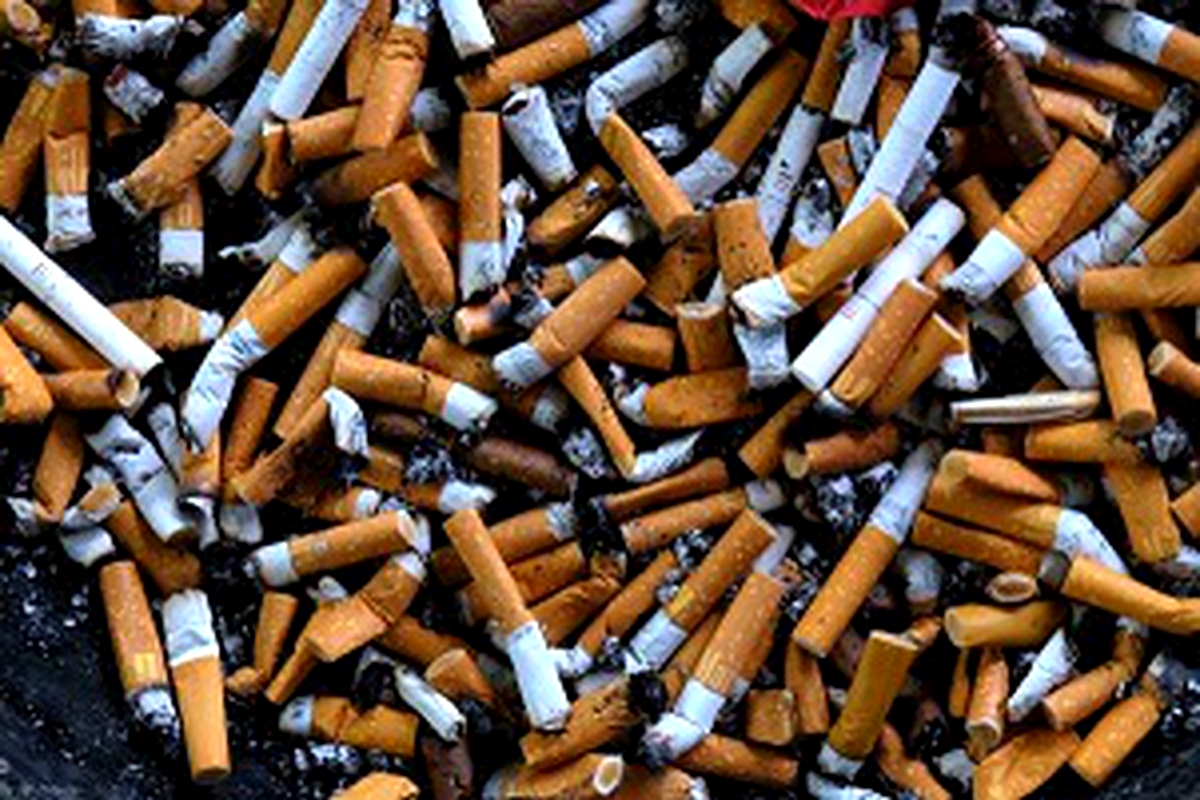 WHO reports decline on tobacco use