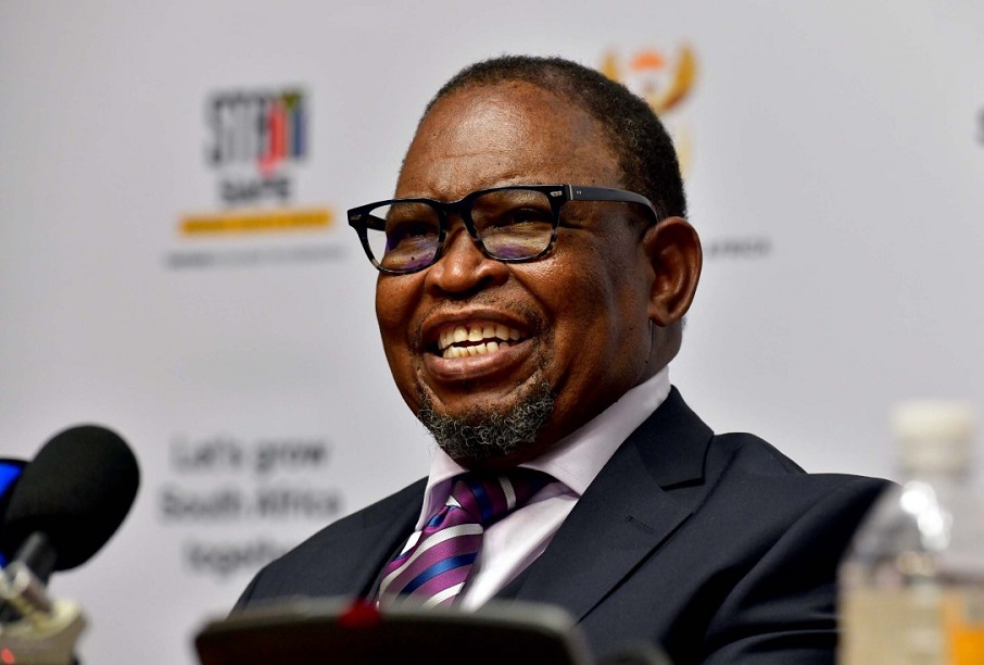 SA Electricity Minister acting as Finance Minister