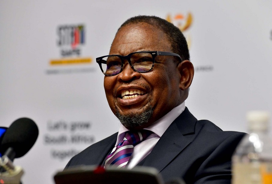SA Electricity Minister acting as Finance Minister SA Electricity Minister acting as Finance Minister