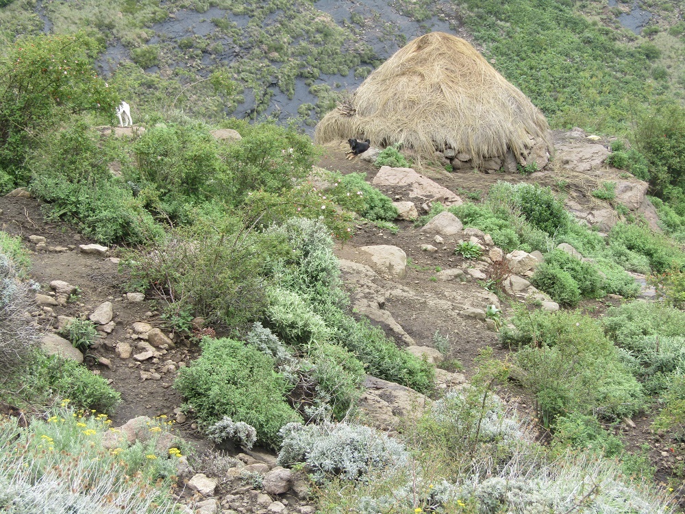 A rocky, rugged-looking Mount Machache