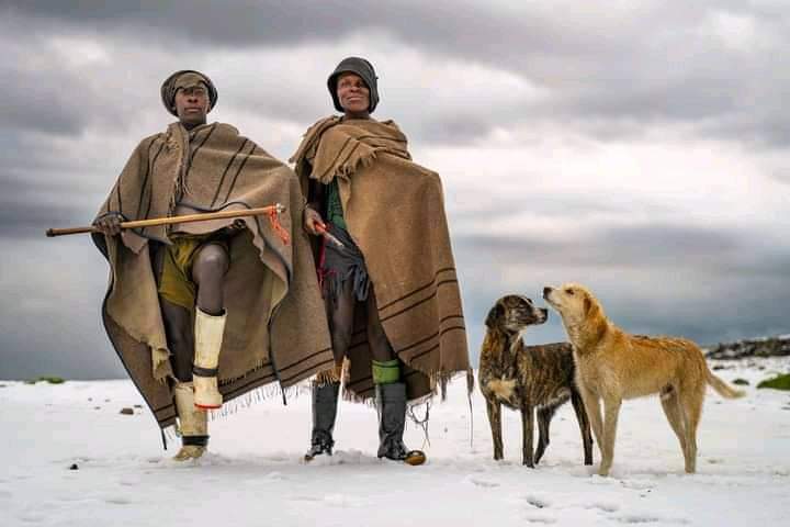 Only the fittest survive mountains winters - Herders